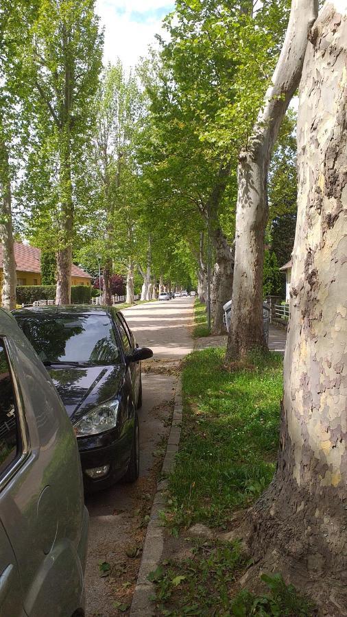 Heni Apartman Надьканіжа Екстер'єр фото